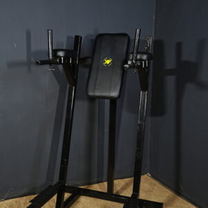 Leg Raise & Dip Stand