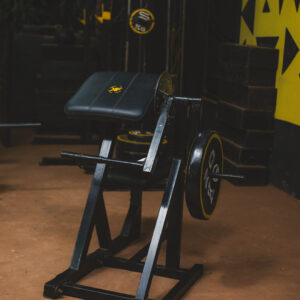Preacher Curl Machine