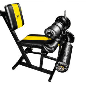 Leg Extension & Hamstring Curl Machine