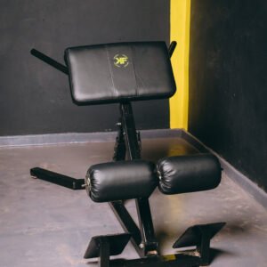 Back Extension